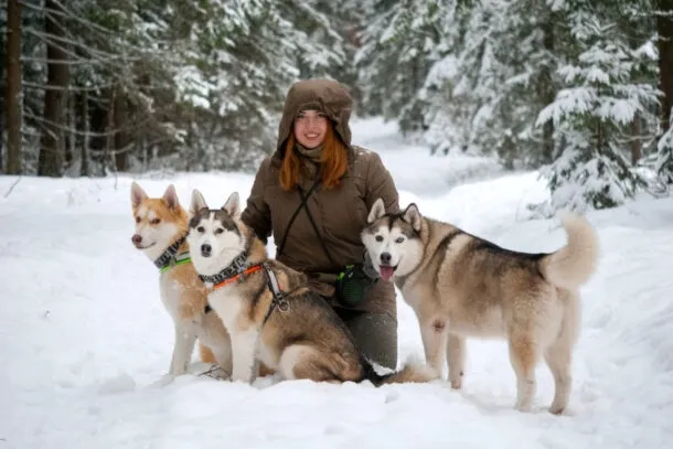 Хаски-трекинг