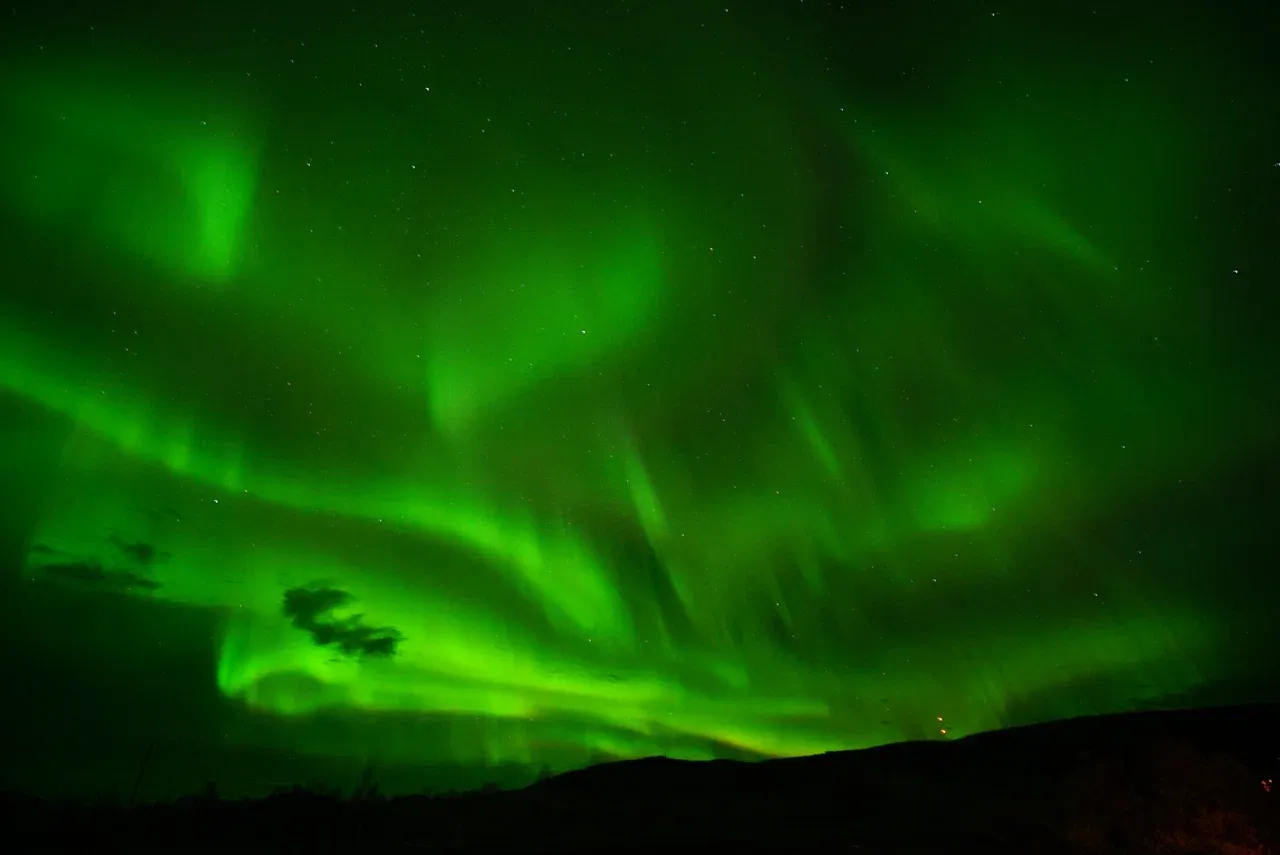 Северное сияние над зимним лесом