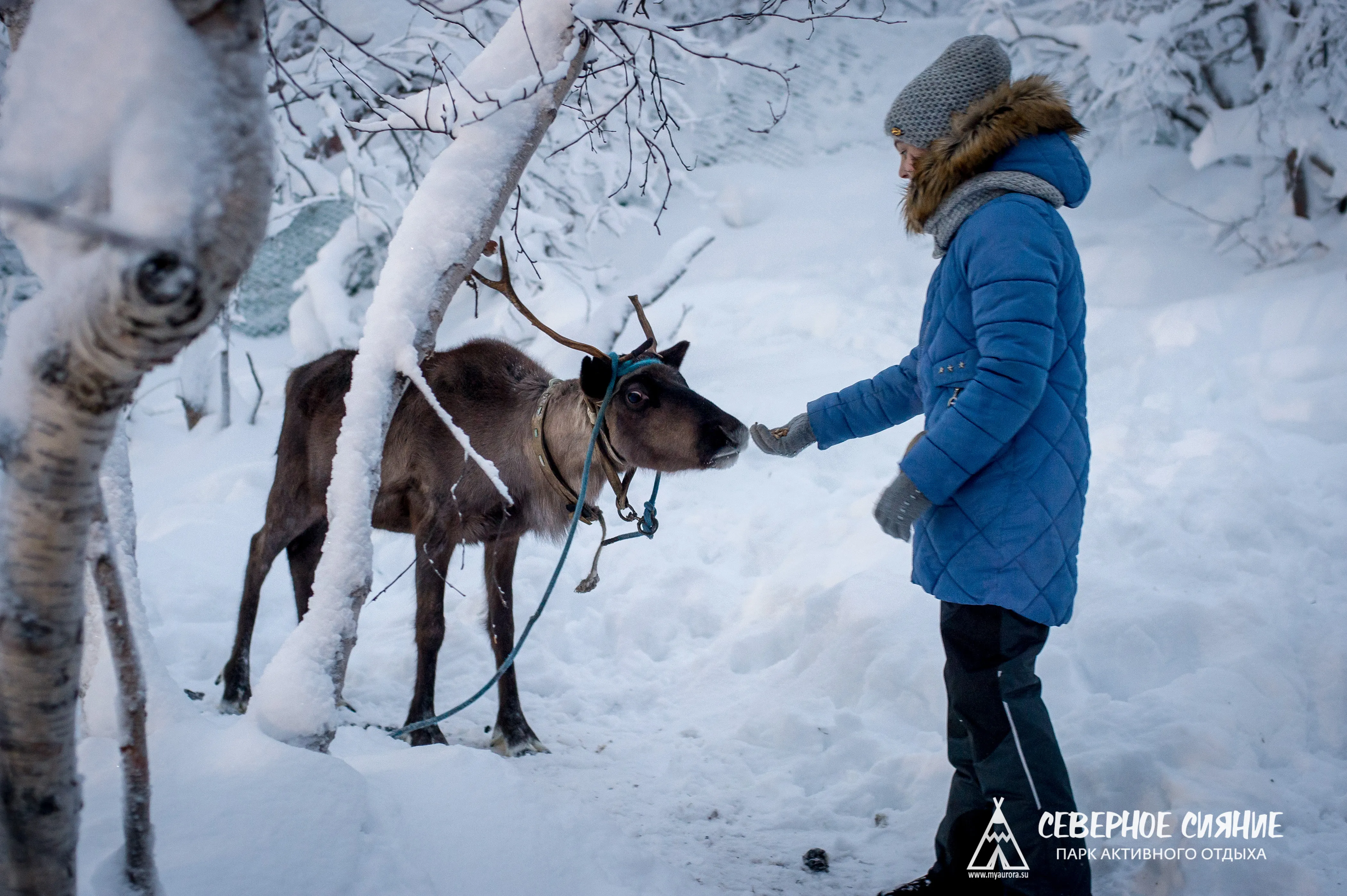 Программа выходного дня (4 часа)