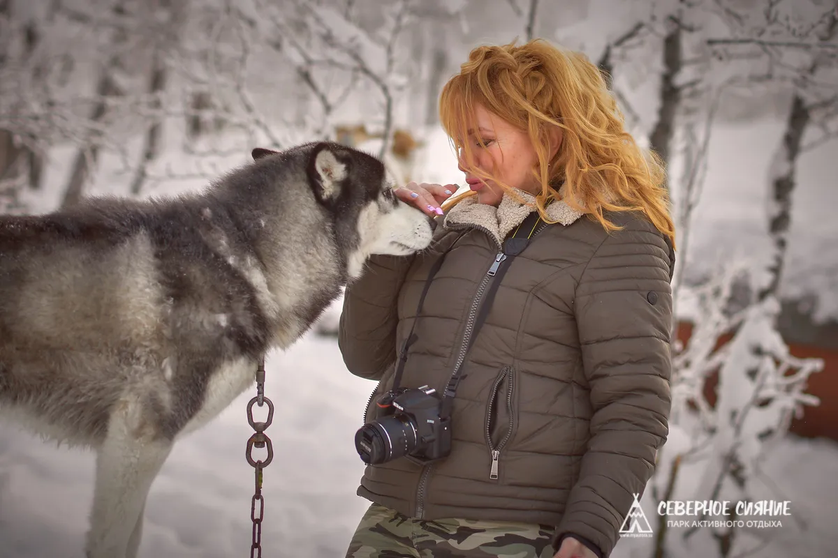 Экскурсия: знакомство с хаски и оленями