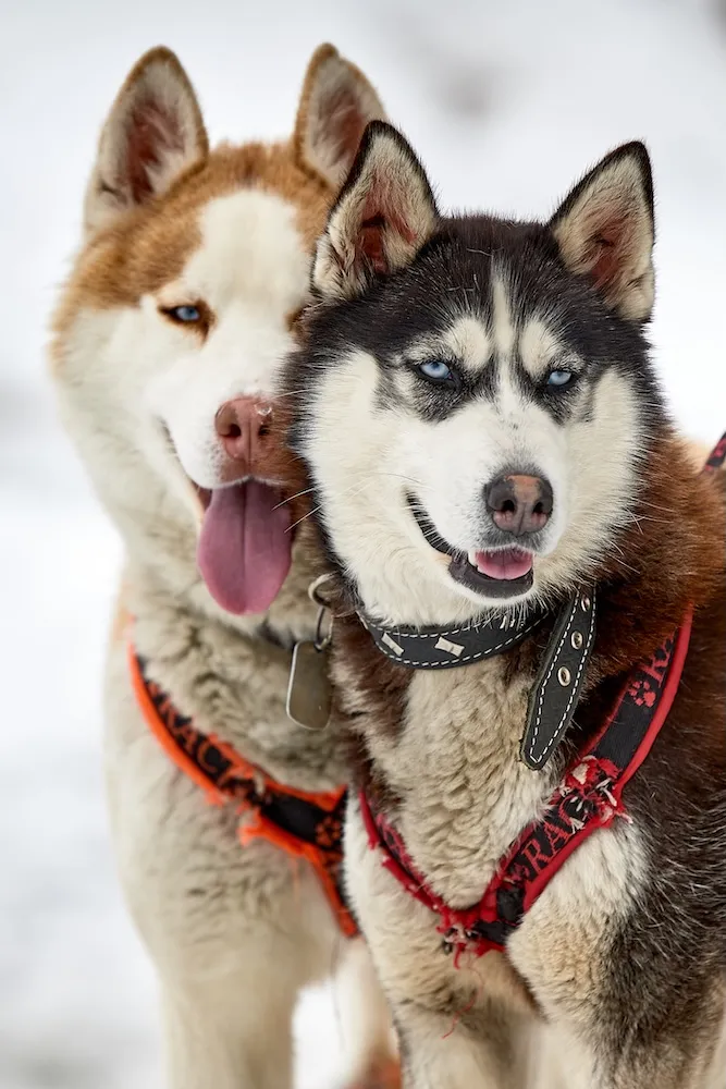 Сплав по реке