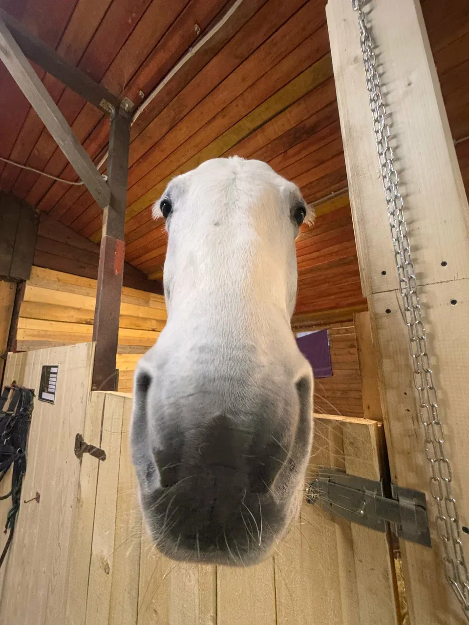 Фото Сергей Ратанов