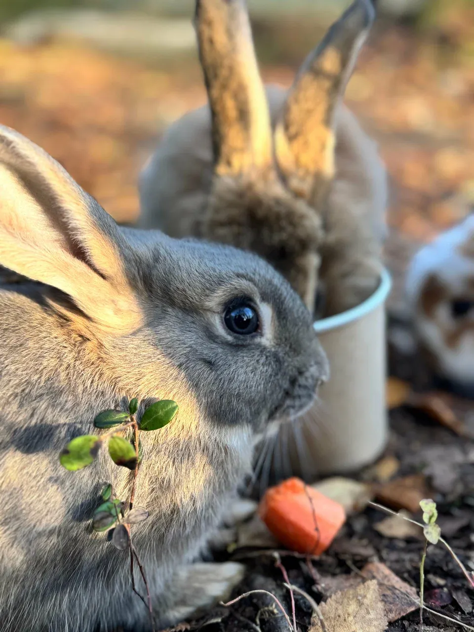 Отзыв Анастасия Уткина