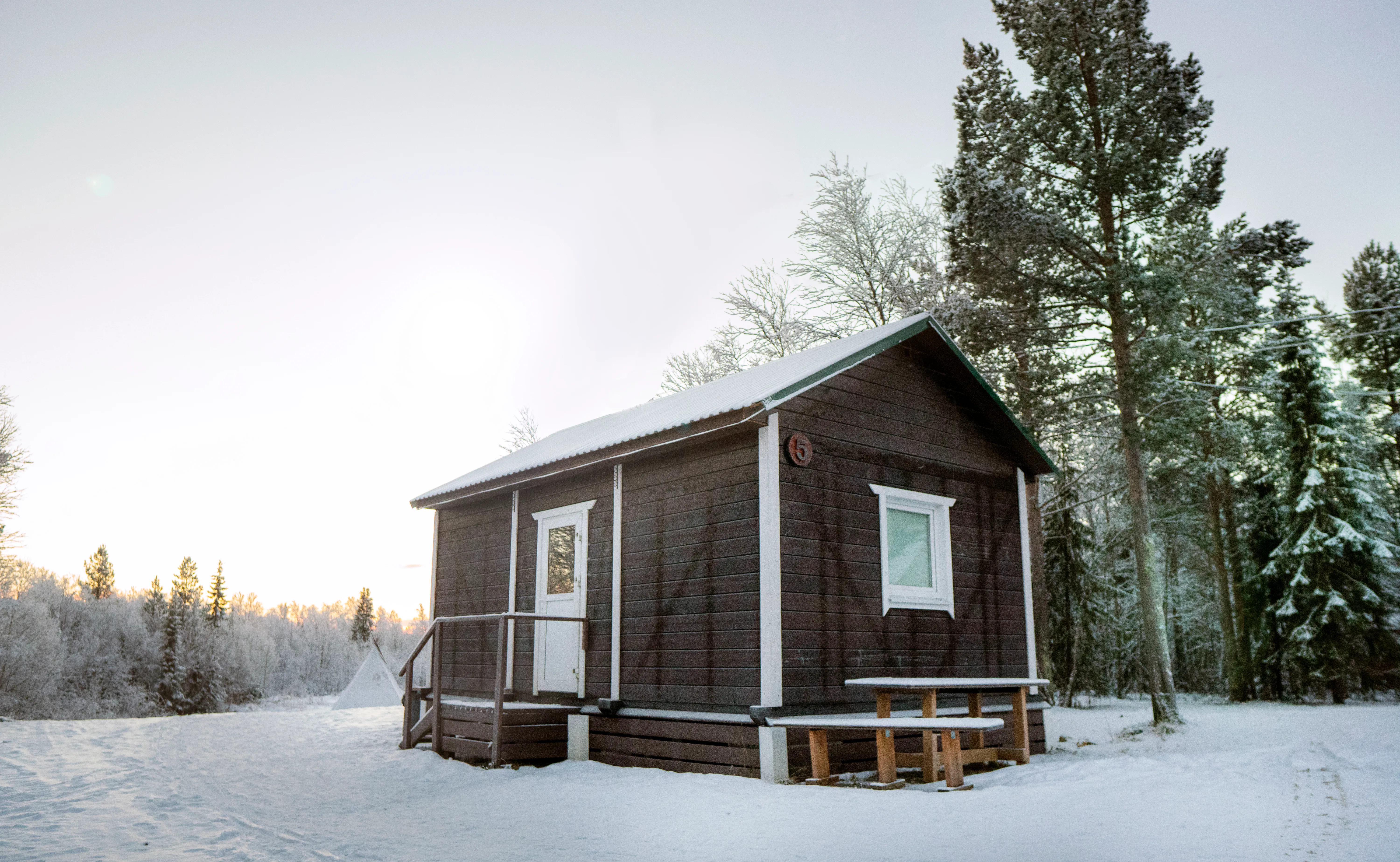 Атмосфера северного леса