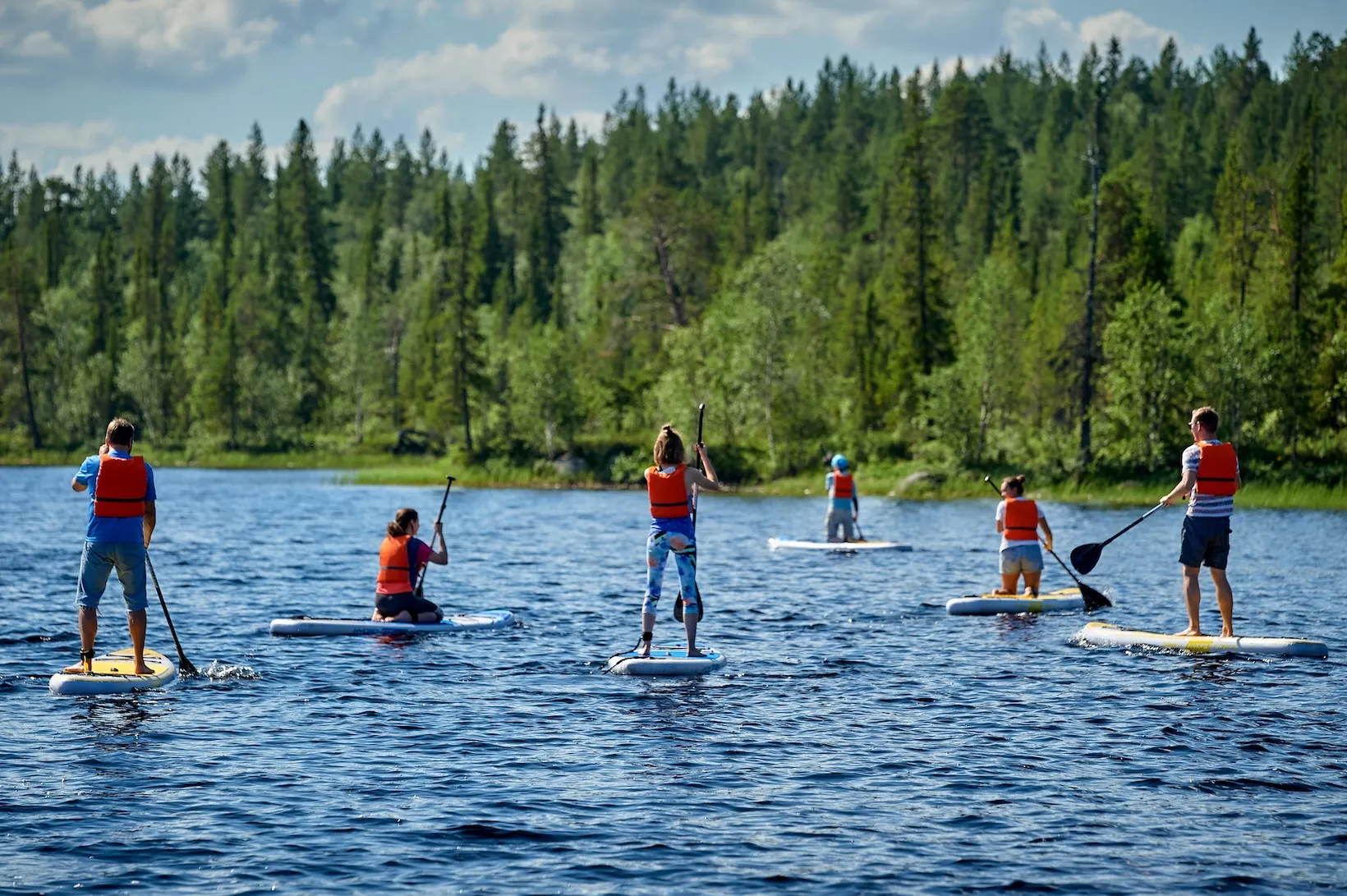 Летний пейзаж с квадроциклом