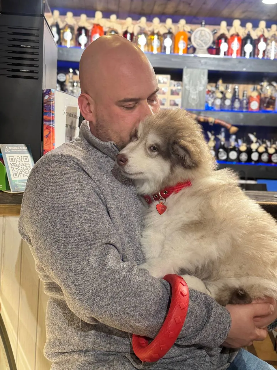 Дмитрий Михалицин